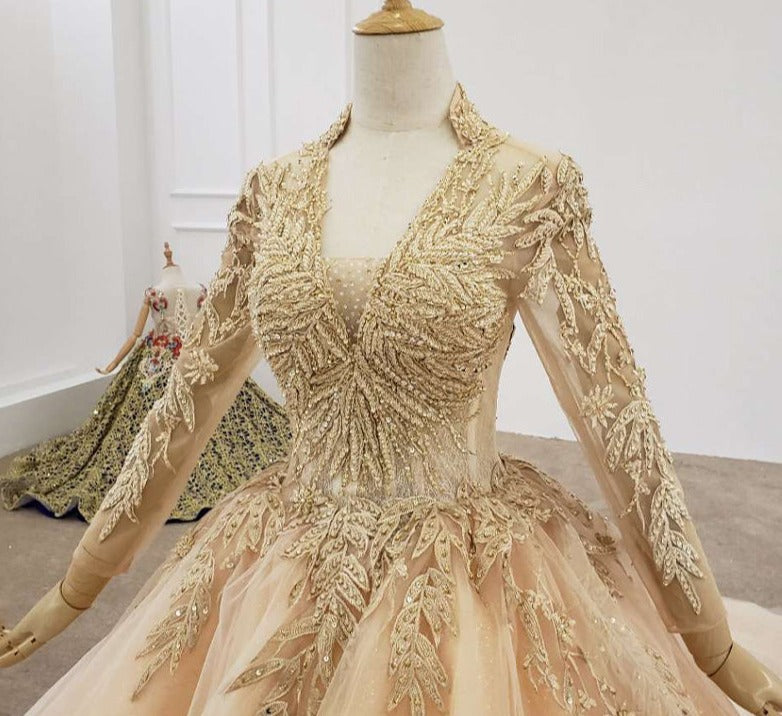 Princess Long Sleeve V Neck Elegant Lace Wedding Dress Bridal Gown