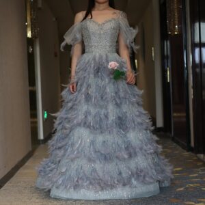 Silver Gray Crystal Feathers Spaghetti Evening Dress for Women Wedding Engagement Party Gowns