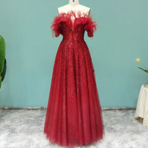 Luxury Feather Evening Dresses Elegant Formal Party Dress for Wedding Guest